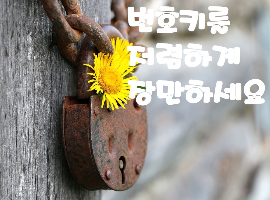  수원권선동특수키 오피스텔 전자도아락 보조도아록 보여지다