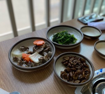 활오징어회 산오징어물회
