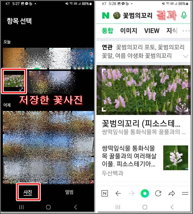 꽃사진 선택하여 결과 보는 화면