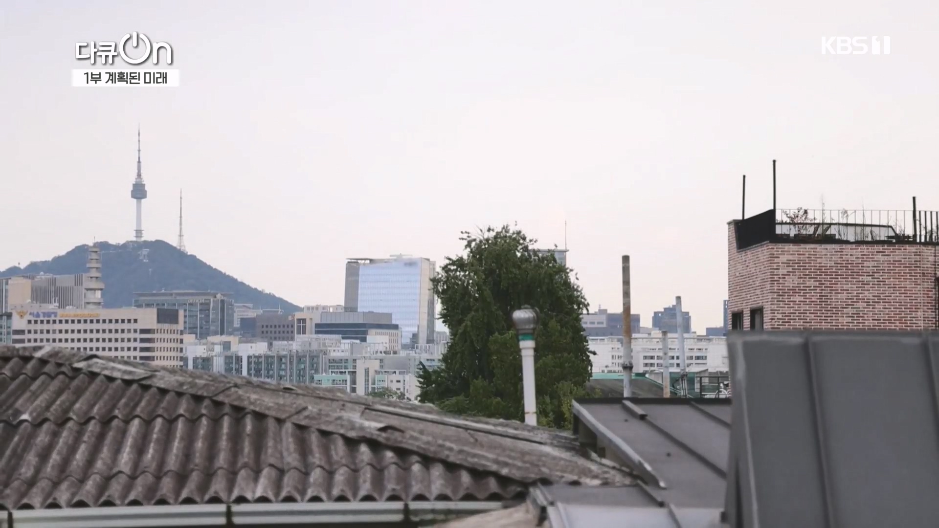 다큐 On.E224.231111p.H264-F1RST.mp4_20231112_182322.834.jpg