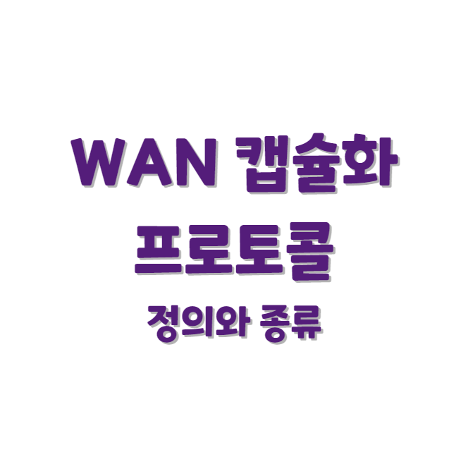 WAN 캡슐화 프로토콜