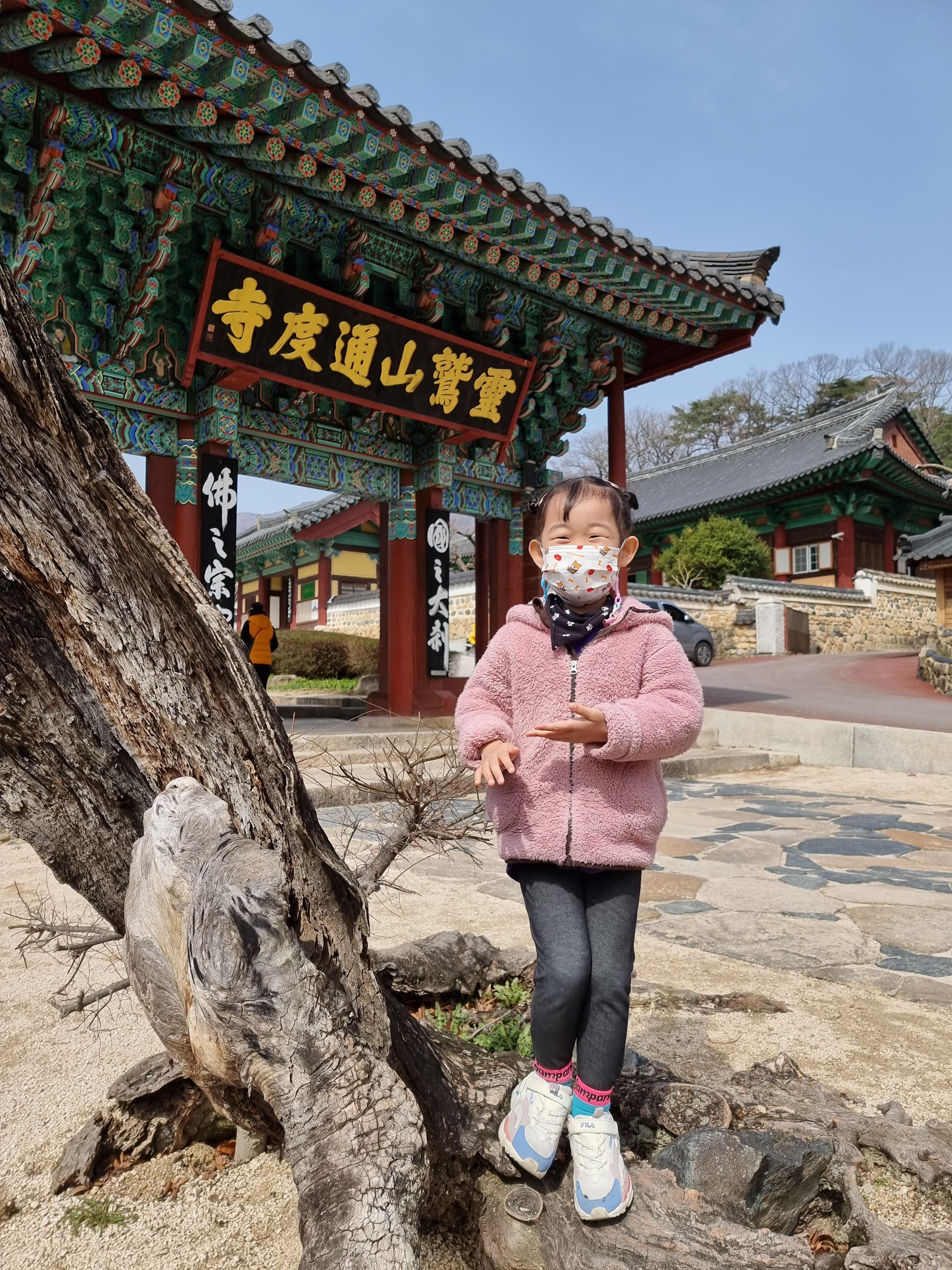  양산 통도사 - 부산근교 아이와 가볼만한곳 산책하기 너무 좋아!