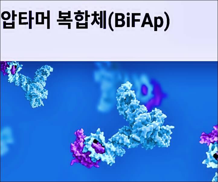 압타머-복합체-BiFAp