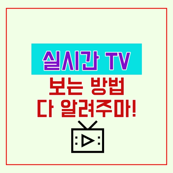  실시간 tv보기