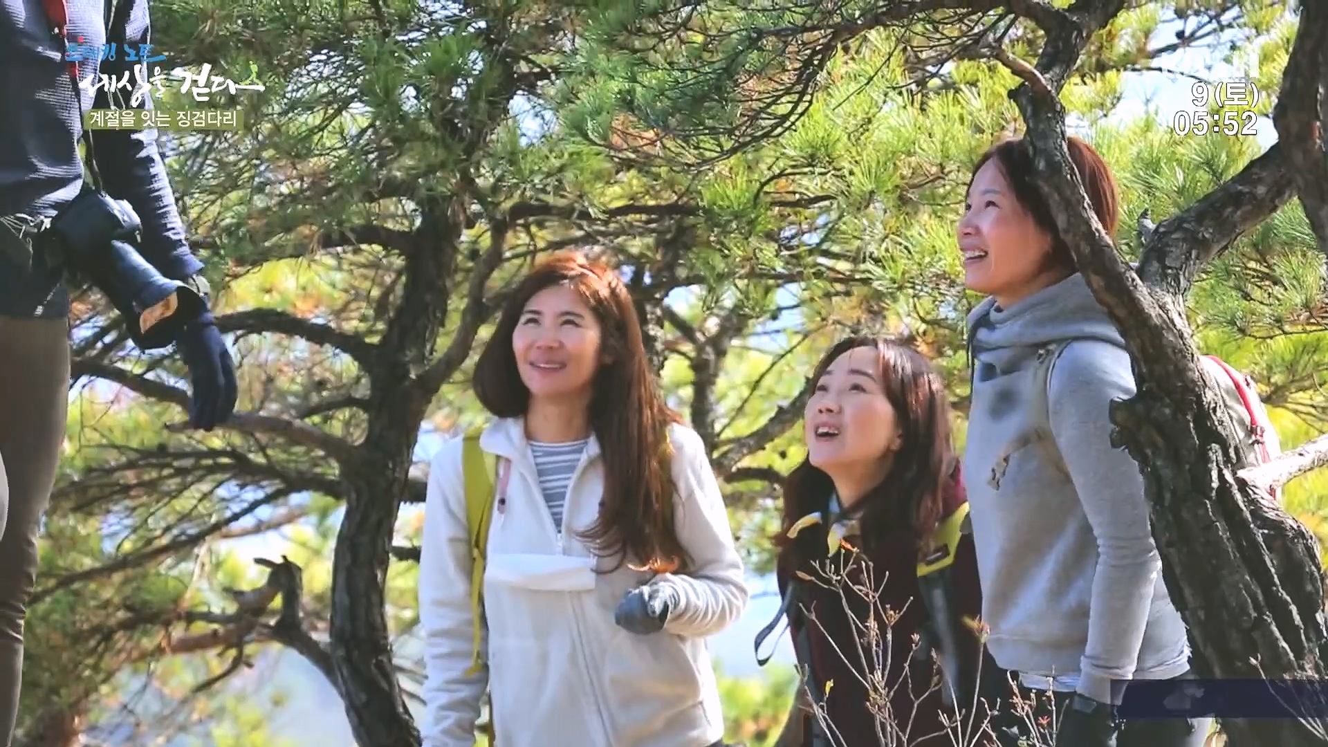 트레킹노트 세상을 걷다.E298.231209p.H264-F1RST.mp4_20240105_205108.533.jpg