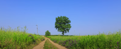 법률상 인정됩니다. 유언장 작성 이렇게 하면... 9