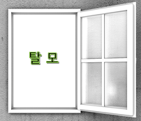  탈모(피부질환)에 대한 궁금증