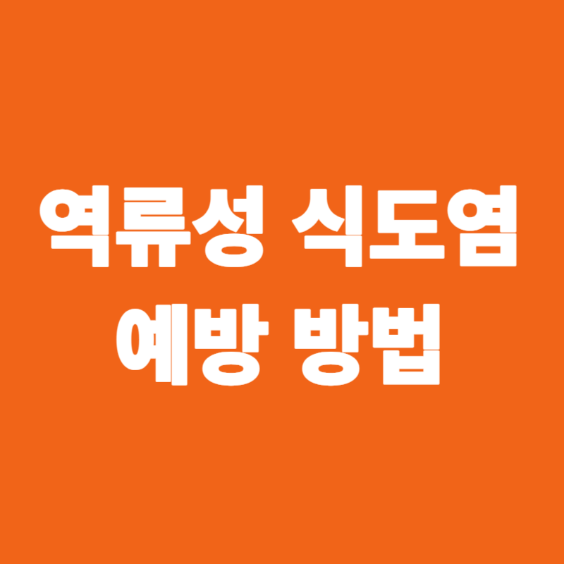 역류성 식도염 예방