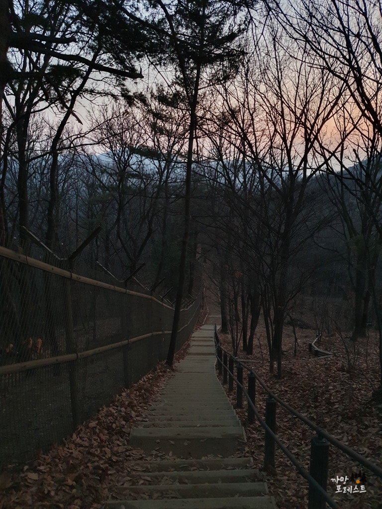 구룡산 가는길
