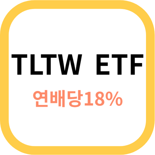 TLTW ETF 썸네일