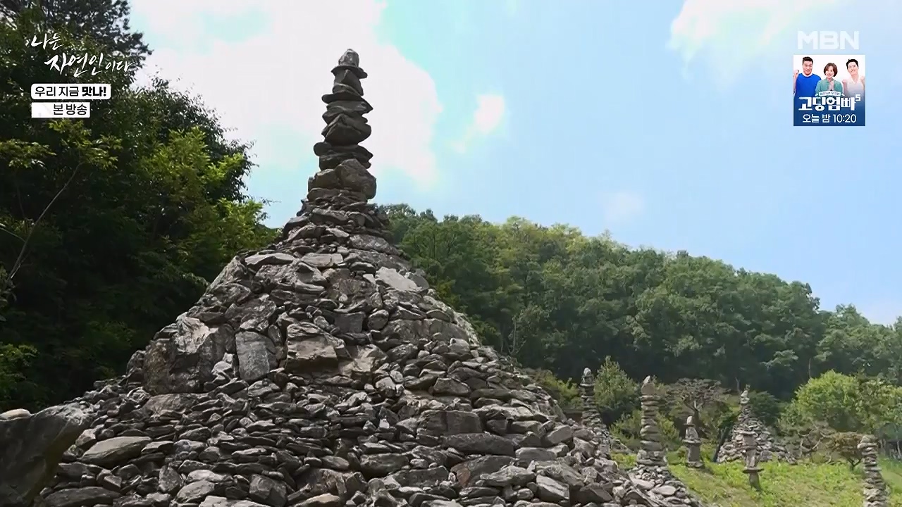 나는 자연인이다.E609.240613p-NEXT.mp4_20240613_195110.447.jpg