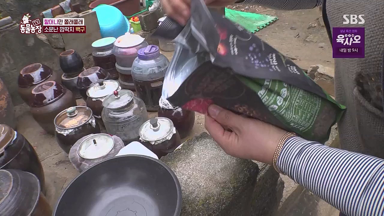 TV 동물농장.E1104.230123p.WANNA.mp4_20230123_195409.164.jpg
