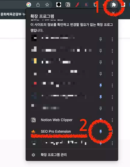 크롬 확장프로그램 SEO Pro Extension