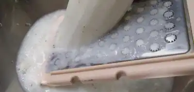 갈아먹는 마 사진