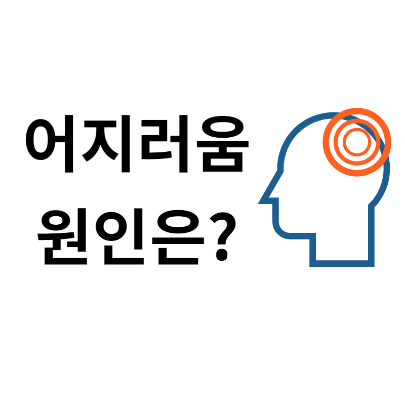  어지러움의 원인은?