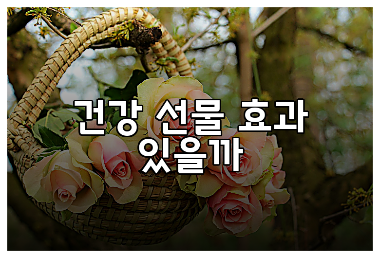 건강 선물 효과 있을까