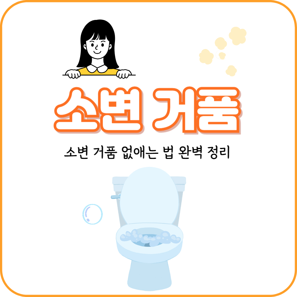 여자 소변 거품 원인 및 소변 거품 없애는 법 완벽 정리