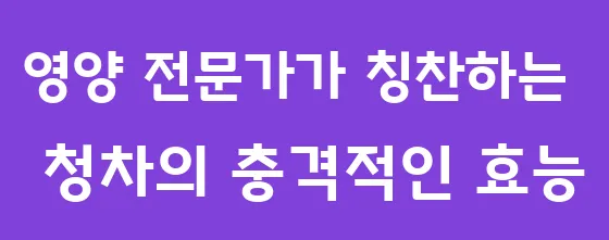 영양 전문가가 칭찬하는 청차의 충격적인 효능