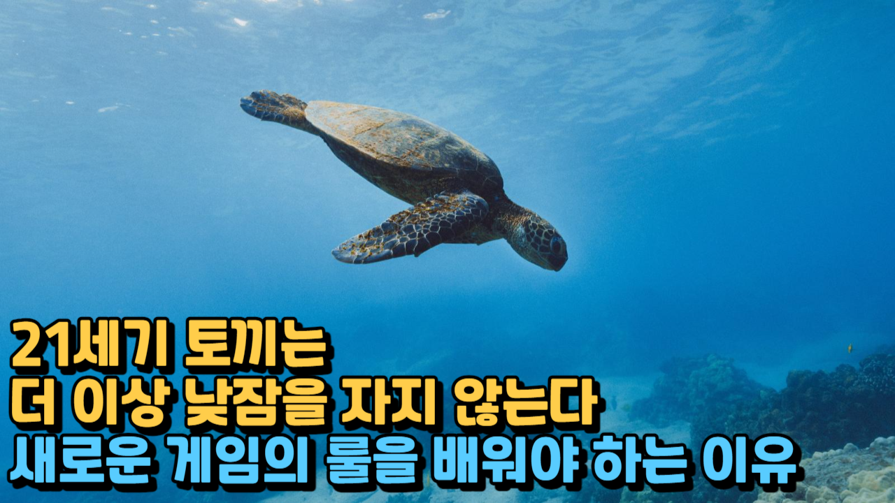  21세기의 토끼와 거북이, 교육과 사회에 대한 새로운 시각