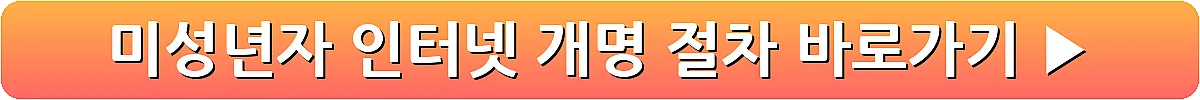 미성년자 인터넷 개명 절차_10