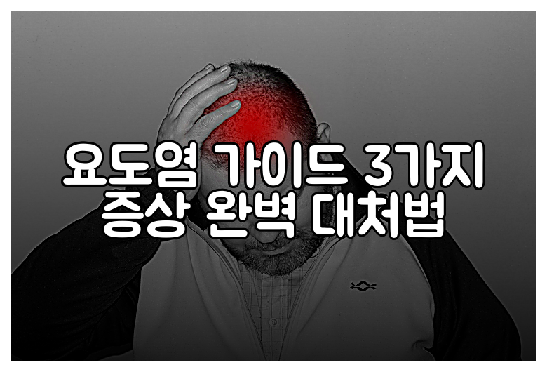 요도염 가이드 3가지 증상 완벽 대처법