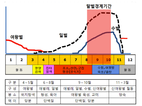 말벌-월별-활동주기