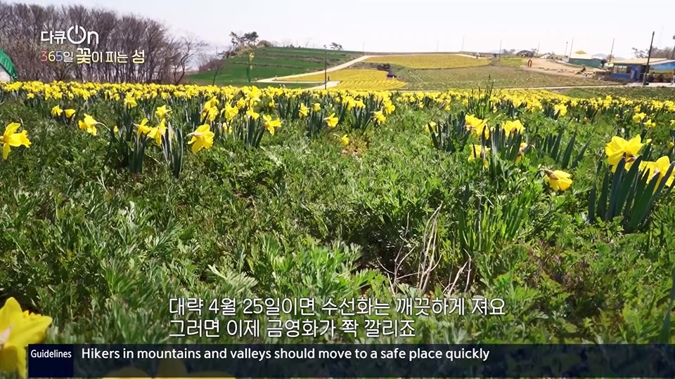 다큐 On.E201.230610p.H264-F1RST.mp4_20230611_165952.697.jpg