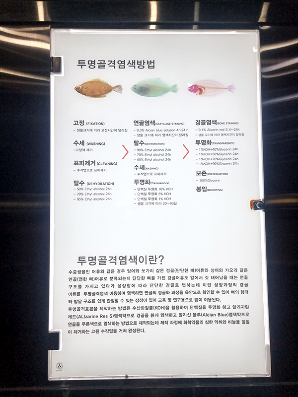 단양 아쿠아리움 다누리아쿠아리움