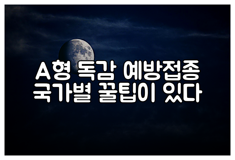 A형 독감 예방접종 국가별 꿀팁이 있다