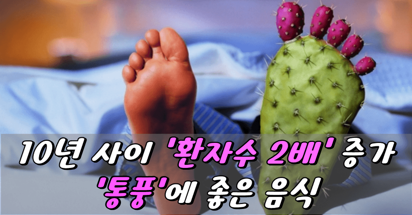  10년 사이 환자수 2배 증가 '통풍'에 좋은 음식
