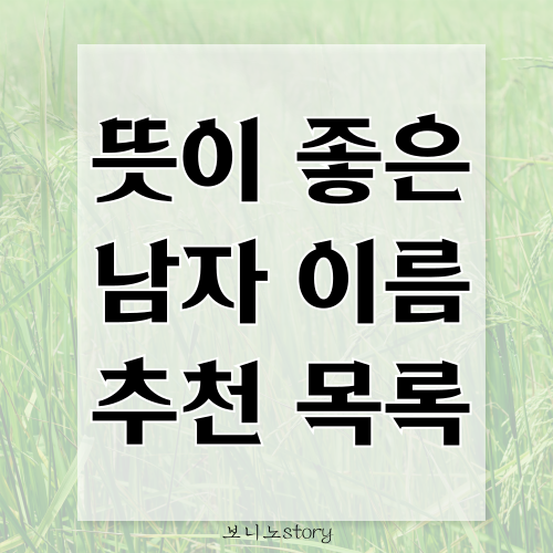 뜻이-좋은-남자-이름-추천-목록-사진