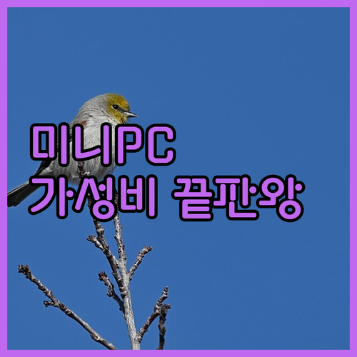 가성비 미니 PC 추천 윈도우 11 