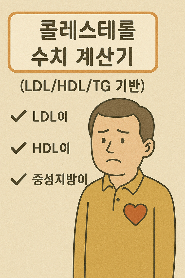 콜레스테롤 수치 계산기 (LDL/HDL/TG 기반)