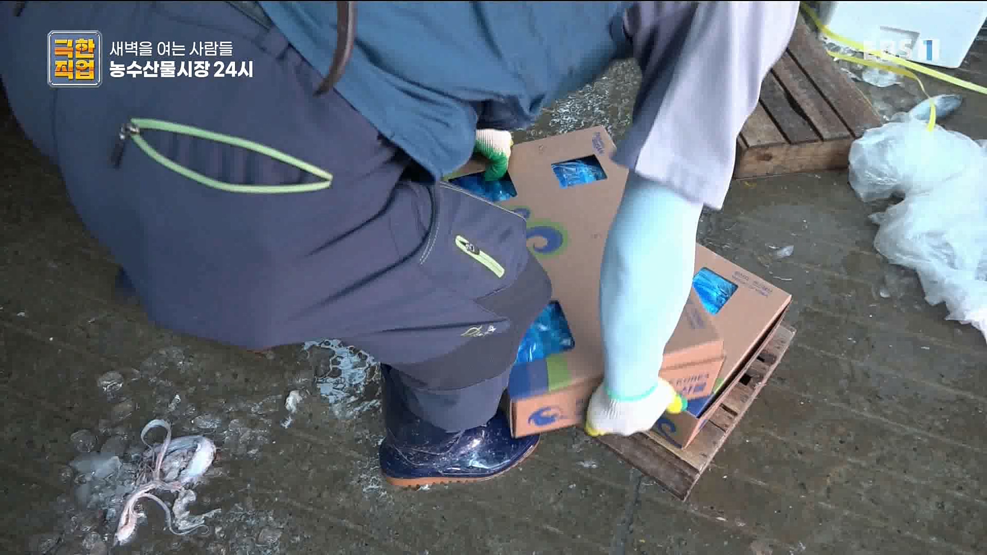 농수산물 시장 24시.mp4_20221020_161711.165.jpg