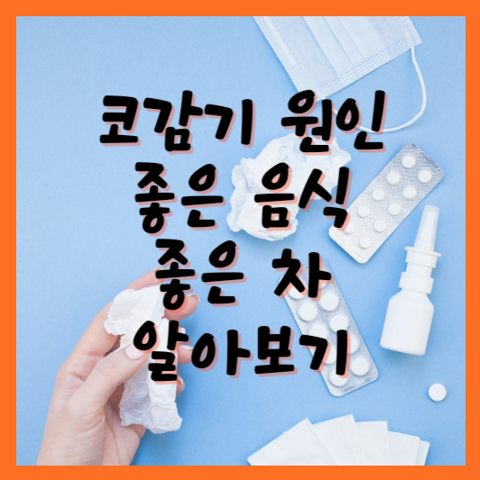  코감기 원인 좋은 음식, 좋은 차 알아봅시다.