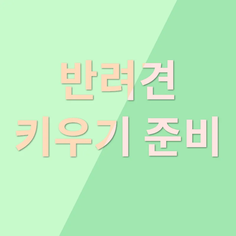 도그마루 반려견 분양_3