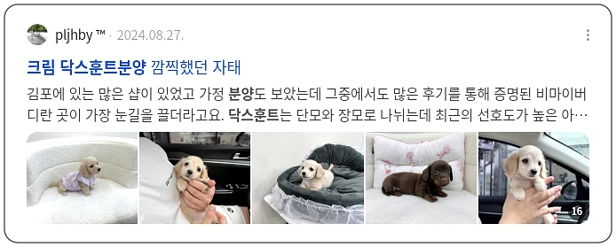 크림 닥스훈트 분양_2_subsection