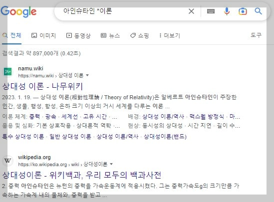 기억나지 않는 단어 빈칸 채워 검색