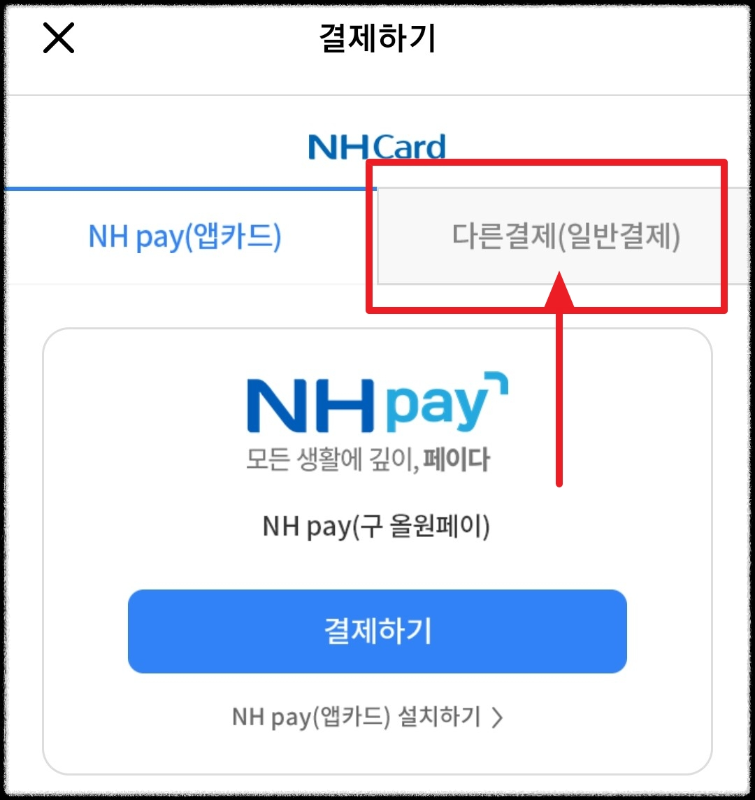 다른결제 일반결제 선택