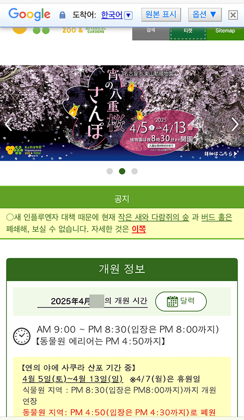 히가시야마-벚꽃축제