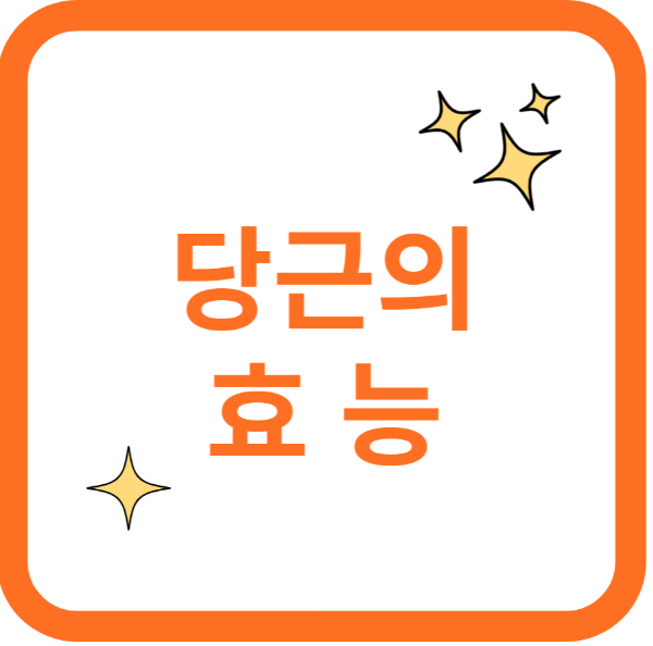 당근의 효능