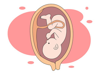 임신 초기 증상일까? 생리 불순일까?