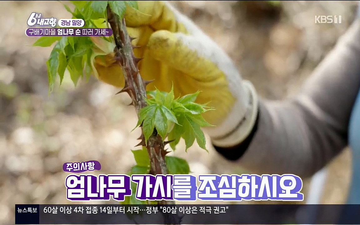 6시 내고향.E7510.220414p.H264-F1RST.mp4_20220419_182125.335.jpg