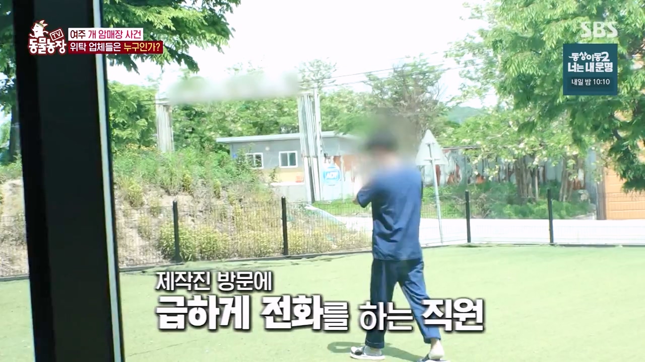 TV 동물농장.E1122.230529p-NEXT.mp4_20230528_170304.537.jpg