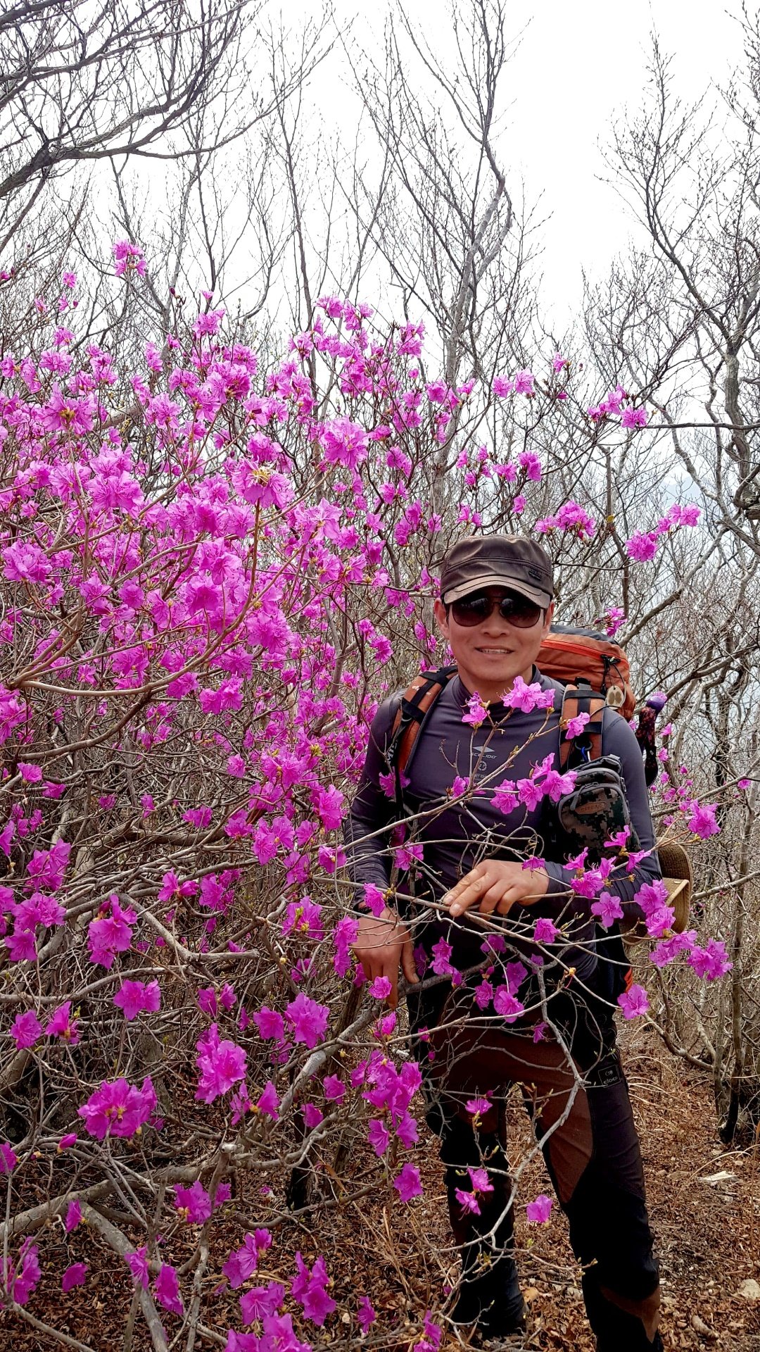 거제 망산 진달래