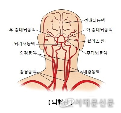  뇌혈관 의사들, 병원 지키기 결의