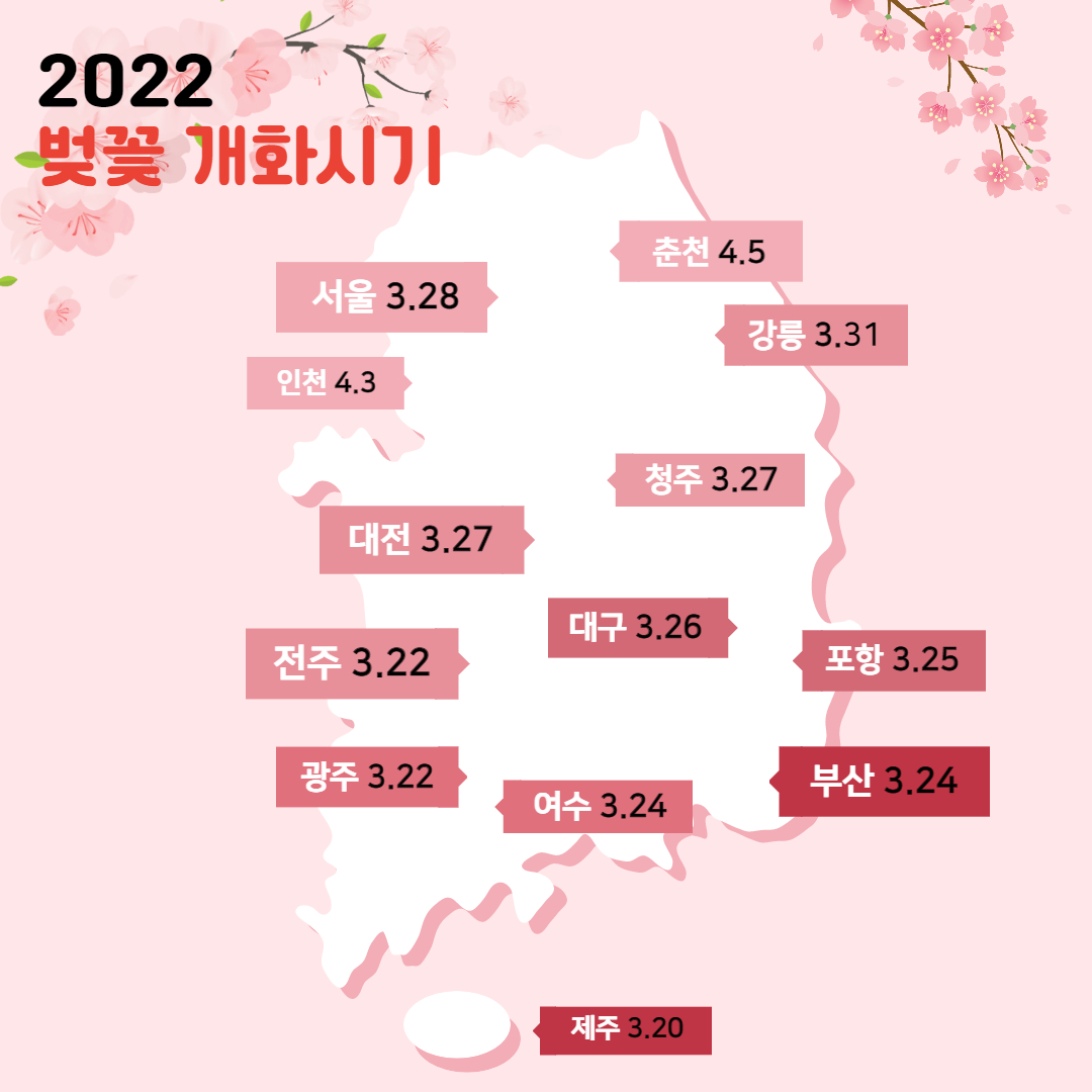 2022년 벚꽃 개화시기