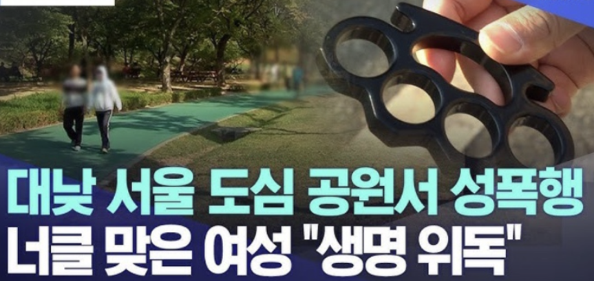  신림동 너클 폭행 및 성폭행 사건 내용