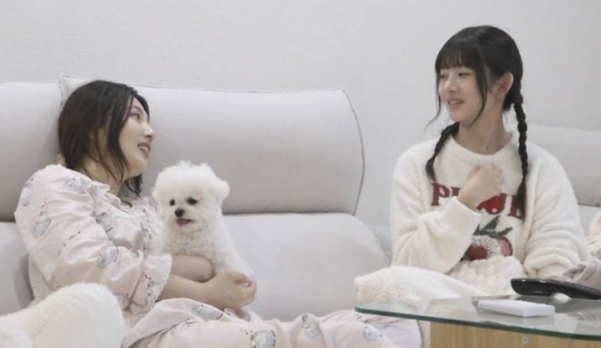 나 혼자 산다 레드벨벳 조이 / 사진=MBC