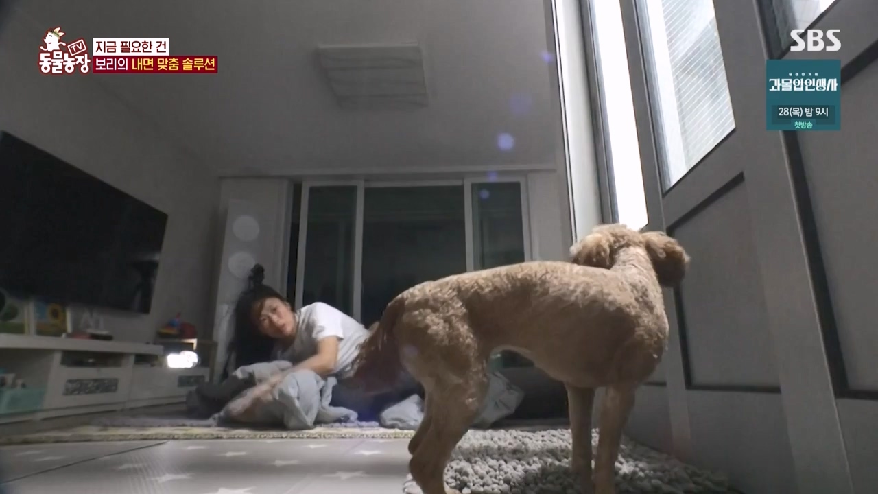 TV 동물농장.E1150.231218p-NEXT.mp4_20231217_171345.200.jpg